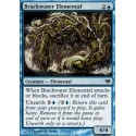 Brackwater Elemental