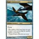 Esper Cormorants