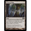 Evolving Wilds