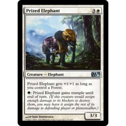 Prized Elephant