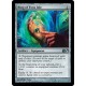 Ring of Evos Isle - Foil