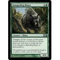 Stampeding Rhino