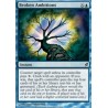 Broken Ambitions