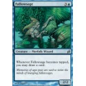 Fallowsage