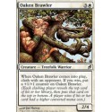 Oaken Brawler