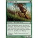 Seedguide Ash