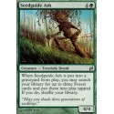 Seedguide Ash