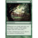 Sylvan Echoes