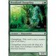 Woodland Changeling