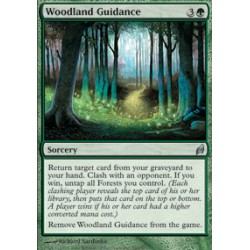 Woodland Guidance
