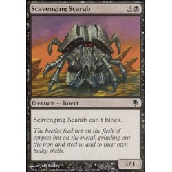 Scavenging Scarab