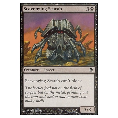 Scavenging Scarab