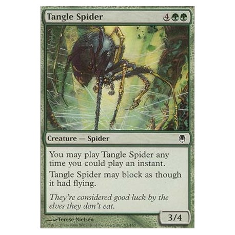 Tangle Spider