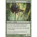 Tangle Spider