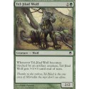 Tel-Jilad Wolf