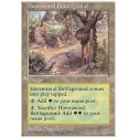 Havenwood Battleground