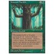 Ironroot Treefolk