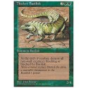 Thicket Basilisk