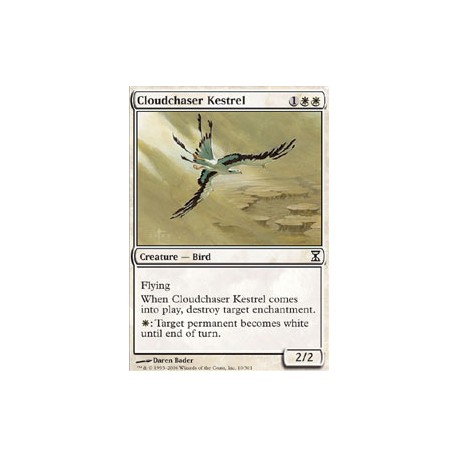 Cloudchaser Kestrel