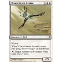 Cloudchaser Kestrel