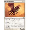 Plated Pegasus