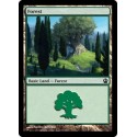 Forest - Foil