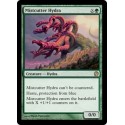 Mistcutter Hydra