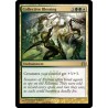 Collective Blessing
