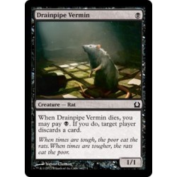 Drainpipe Vermin