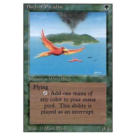 Birds of Paradise