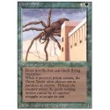 Giant Spider