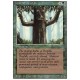 Ironroot Treefolk