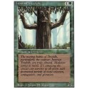 Ironroot Treefolk