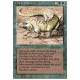 Thicket Basilisk