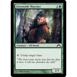 Greenside Watcher