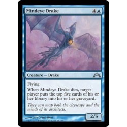 Mindeye Drake