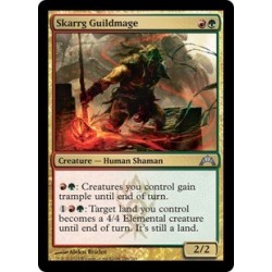 Skarrg Guildmage