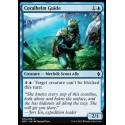 Coralhelm Guide