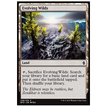 Evolving Wilds