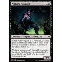 Nirkana Assassin