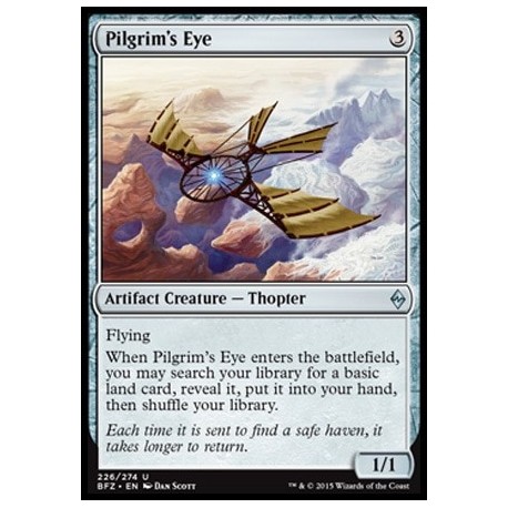 Pilgrim's Eye