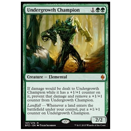 Undergrowth Champion