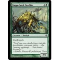 Daggerback Basilisk