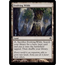 Evolving Wilds