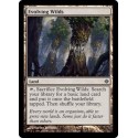 Evolving Wilds