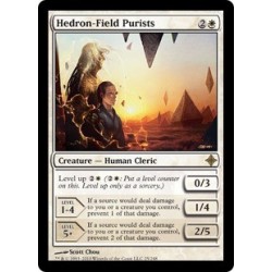 Hedron-Field Purists - Foil