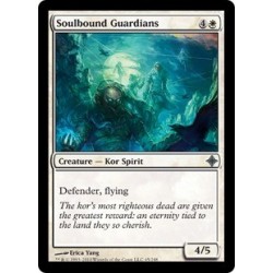 Soulbound Guardians