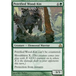 Petrified Wood-Kin