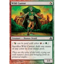 Wild Cantor