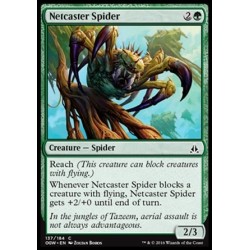 Netcaster Spider